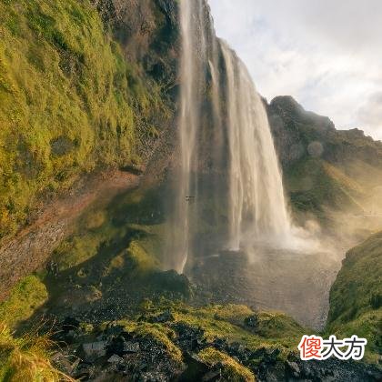 梦见给大嘴的鸟喂食是什么意思