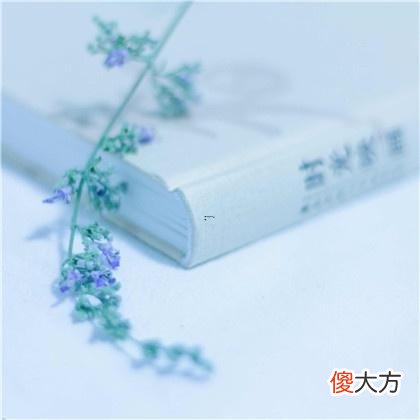 梦见和哥哥打架是什么意思