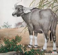 【十二星座】一家人里有什么生肖，今年底好运常在家门，富翁越来越多