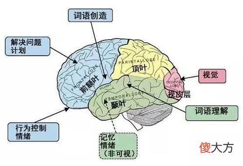 如何才能培养出高度自律的孩子？方法就在身边，很多家长容易忽视