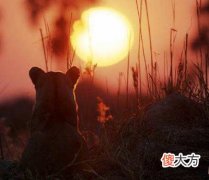 1月22日生日密码-旋风的引爆者