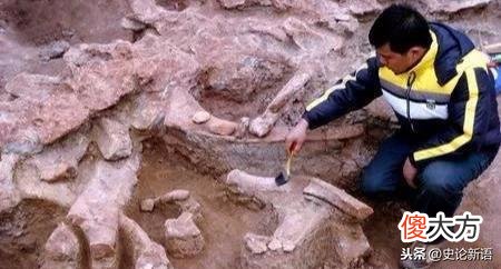 世界最大的“龙”，在河南被发现，重达130吨，考古队挖了5年！