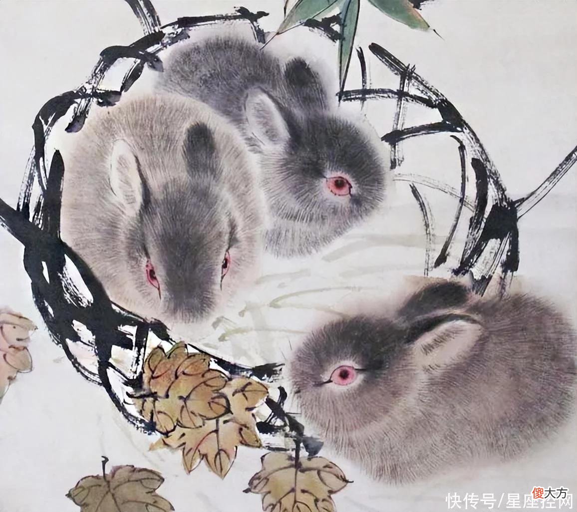 【十二星座】生肖兔在几岁结婚，天赐幸福姻缘，能白头到老，还不缺钱