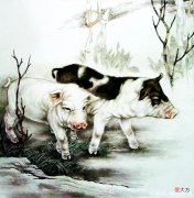 【十二星座】9月方方面面都满意，衣食无忧不缺钱的生肖，闯出一片天