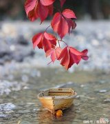 【就爱时尚】太惊艳了！日常款+单鞋：被一头利落“短发”的她，穿出了高级感