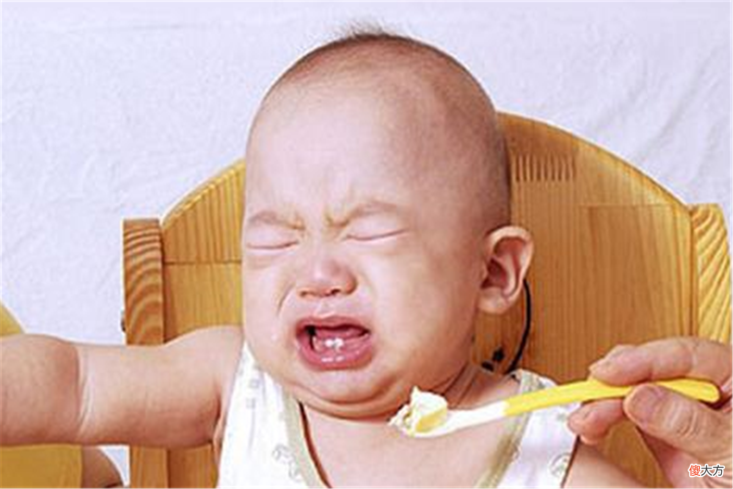 宝宝不爱吃辅食的原因找到了，4招让宝宝爱上辅食，宝妈也轻松