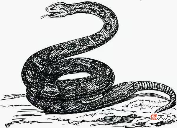 【历史故事】民间故事:穷小子守墓十年,和女子成亲,一年后牵出一桩风月案