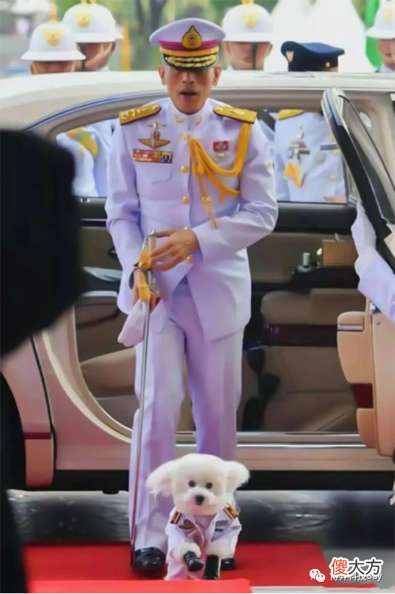 【历史故事】为娶美貌空姐，泰王玛哈直接封上将军衔，婚后一年就出轨女保镖