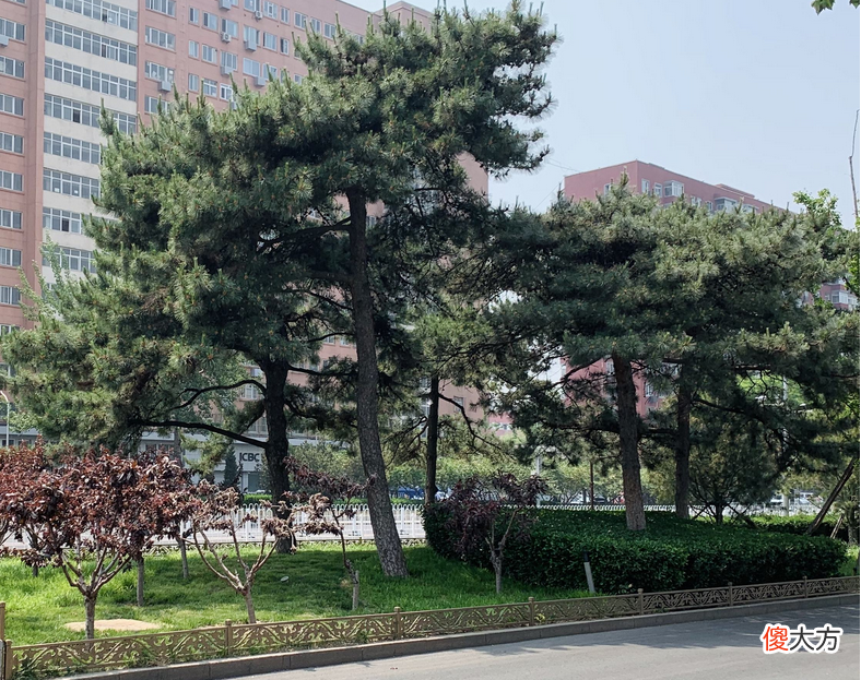 【爱历史】老北京人未必全都知道！帝都这5个地名，八一八它们的前世今生