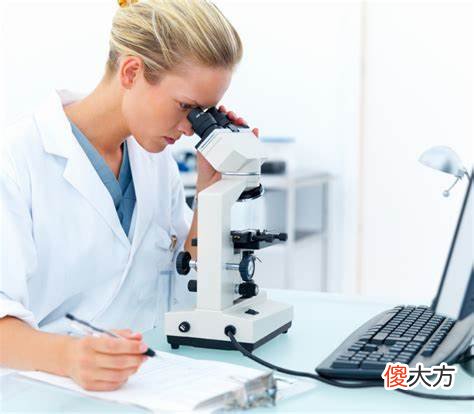 同时拥有两种血型？其实是很小的时候把弟弟的胚胎吸收了