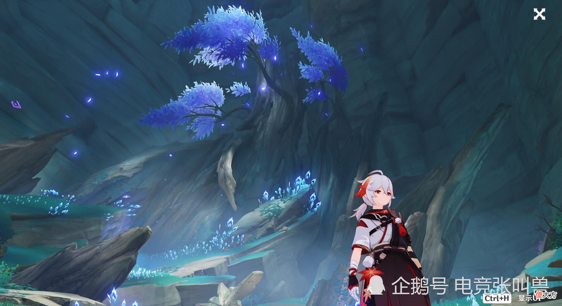 【游戏世界】原神：托马必备素材！幽灯蕈最佳采集路线，想抽托马可以提前准备