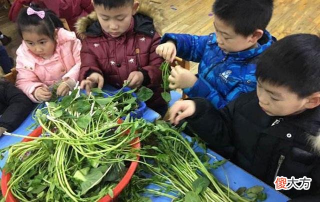 哈佛研究：让孩子多做家务，锻炼身体还能提升三项能力