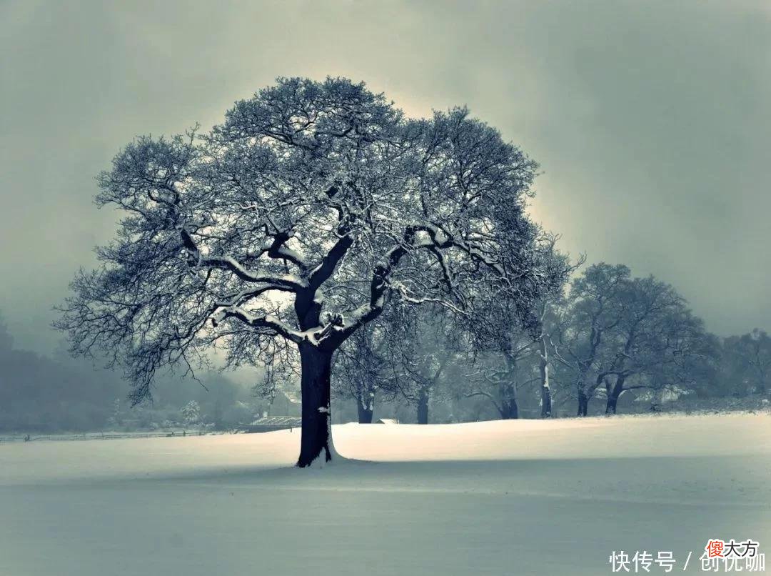 【十二星座】9月，贵人运旺盛的3个生肖，天降重任，福气满满，一路平步青云
