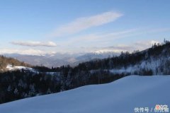 【十二星座】2022下半年，事业运较旺的3个生肖，有望涅槃重生，有所成就