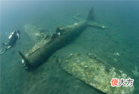 潜水员在海底发现飞机碎片，靠近一看被吓坏，里面还有“人”