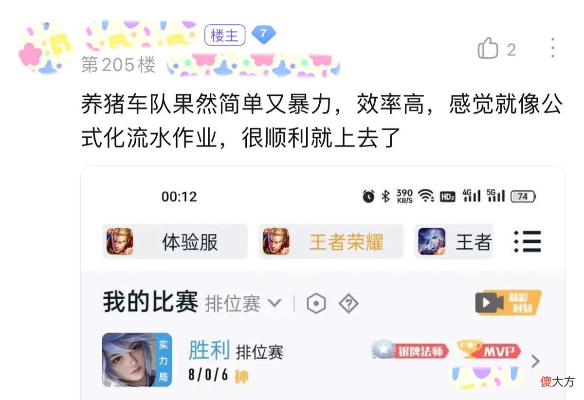 【游戏世界】某星耀5的玩家找代练上王者，竟只需47元！网友：小心封号