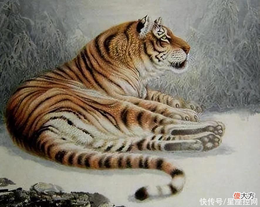 【十二星座】2022年一顺到底，四生肖不再受苦，生活一直旺盛到年底，和气生财