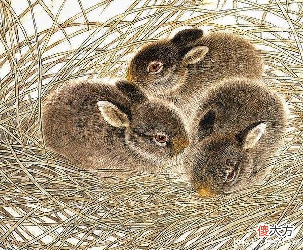 【十二星座】2022年一顺到底，四生肖不再受苦，生活一直旺盛到年底，和气生财