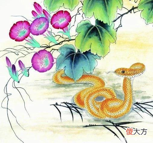 【星座控】嘴上不留情，心里很善良的生肖，好福气和好运气围绕左右