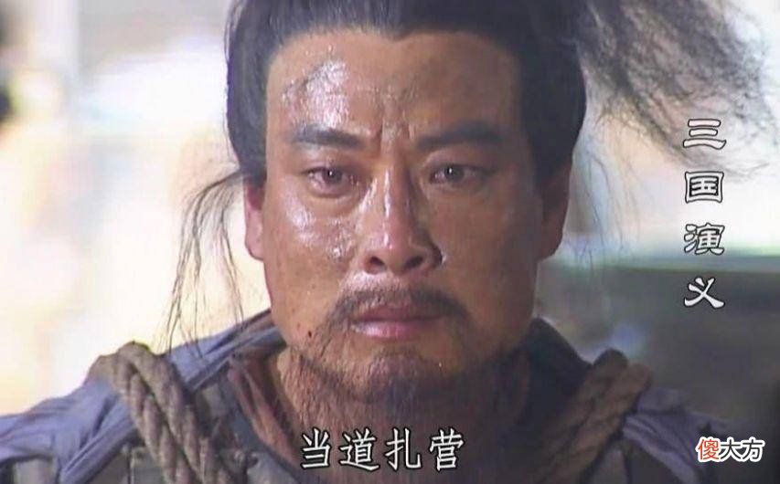 【历史故事】如果诸葛亮不杀此人，以后他会大有作为，成功超过姜维的蜀汉重臣