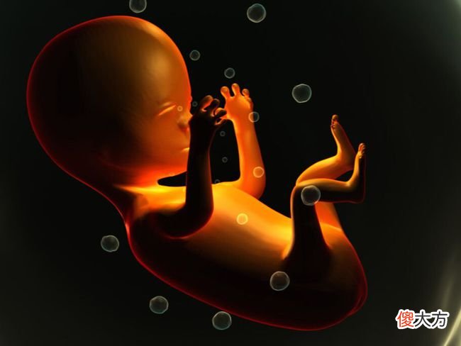 孕妈们，你们是怎样“套路”医生胎儿性别的呢？很有趣
