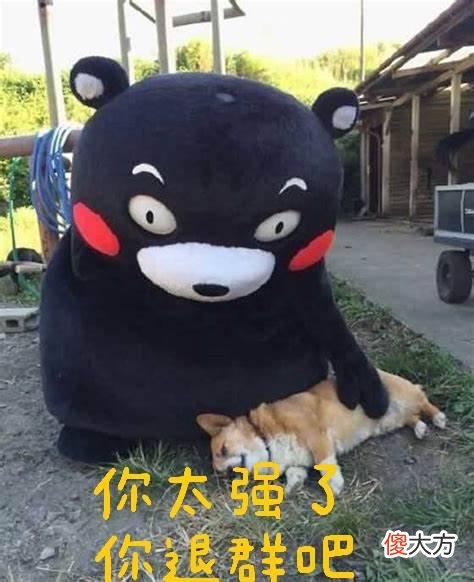 孩子几岁做什么家务?只有懒妈能养出勤快娃