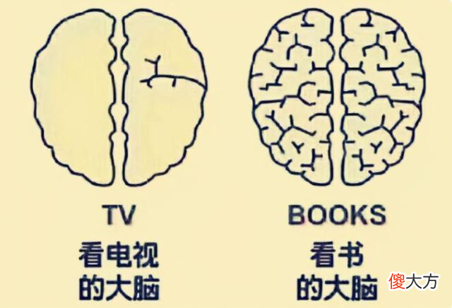 宝宝“看电视”和“不看电视”啥差别？哈佛研究：十年后差距巨大