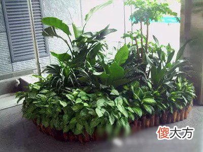 看风水的全部流程,看风水的过程图解