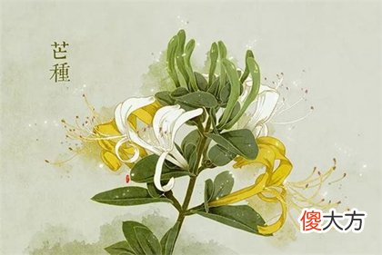 2020年芒种不能做什么,2020年芒种会打雷下雨吗？