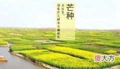 2020年6月5日芒种可以领证结婚吗,今年芒种是几点几分？