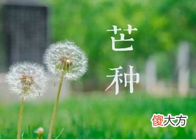 2020年芒种是哪天几月几号？芒种后面的节气是什么？