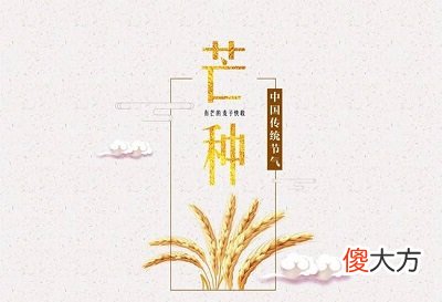 2020年芒种是哪天几月几号？芒种后面的节气是什么？