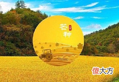 2020年芒种是什么时候？芒种后积雨骤冷三绝什么意思？