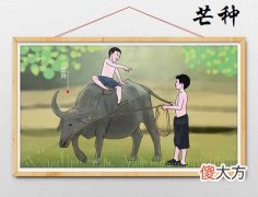 2020年芒种是什么时候？芒种后积雨骤冷三绝什么意思？
