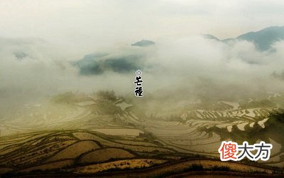 2020年芒种前一天搬家好吗？芒种节气麦子熟了吗？