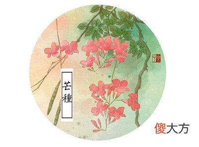 芒种节气前后宜种什么植物？2020芒种日子好不好？