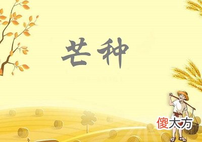 芒种节气前后宜种什么植物？2020芒种日子好不好？