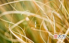 2020年农历五月有什么节气，二十四节气日子如何定？