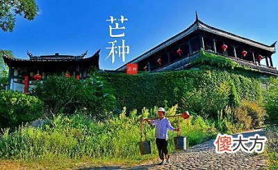 今年芒种是什么日子？2020芒种日子结婚好吗？