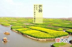 2020年6月5日芒种是吉利日子吗？芒种节气吃什么？