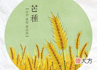 2020年6月5日芒种是吉利日子吗？芒种节气吃什么？