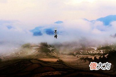 2020年6月5日芒种这天可以搬家吗芒种节气吃什么水果？