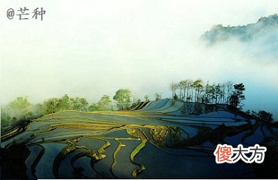2020年芒种日子订婚好吗芒种节气在什么季节？