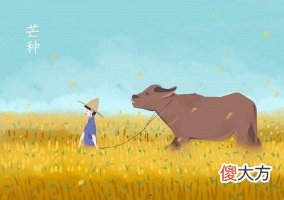 2020年芒种日子订婚好吗芒种节气在什么季节？