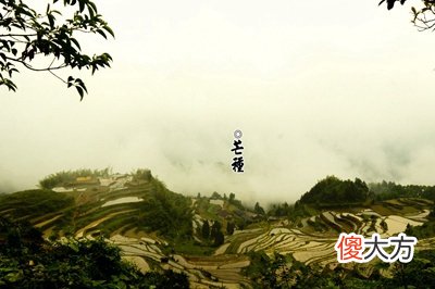 2020年芒种日子订婚好吗芒种节气在什么季节？