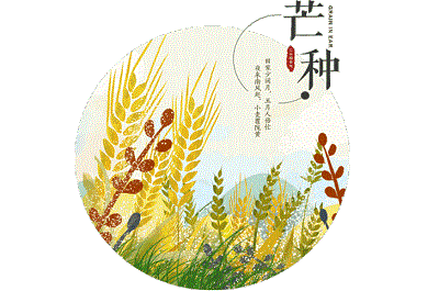 2020年芒种这天登记结婚领证好吗？芒种进入三伏天了吗？