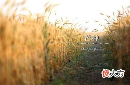 2020年芒种忌讳什么,2020年芒种结婚吉不吉利？