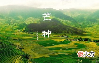 2020年芒种忌讳什么,2020年芒种结婚吉不吉利？