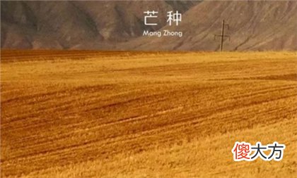关于芒种养生注意事项,2020年闰四月十四芒种开业好吗？