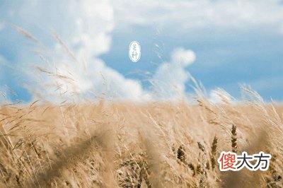 2020年芒种节气是几点几分？芒种是干什么的日子？